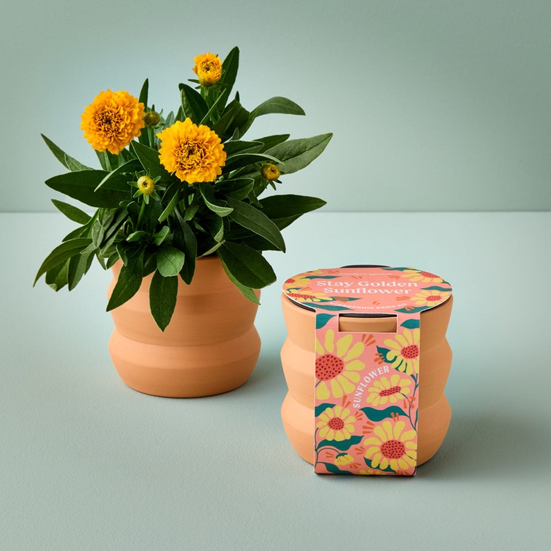 Tiny Terracotta Grow Kit