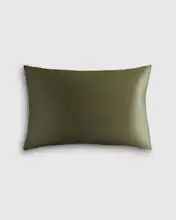Dusty Olive