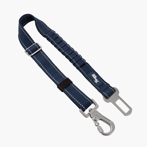 Dog Seat Belt