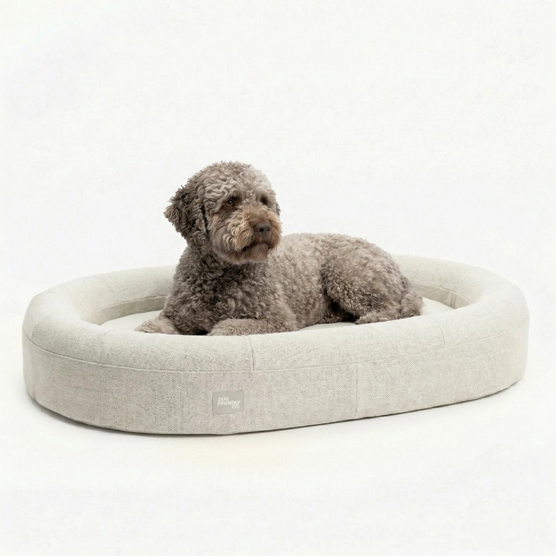 Medium Chill Pill Memory Foam Dog Bed