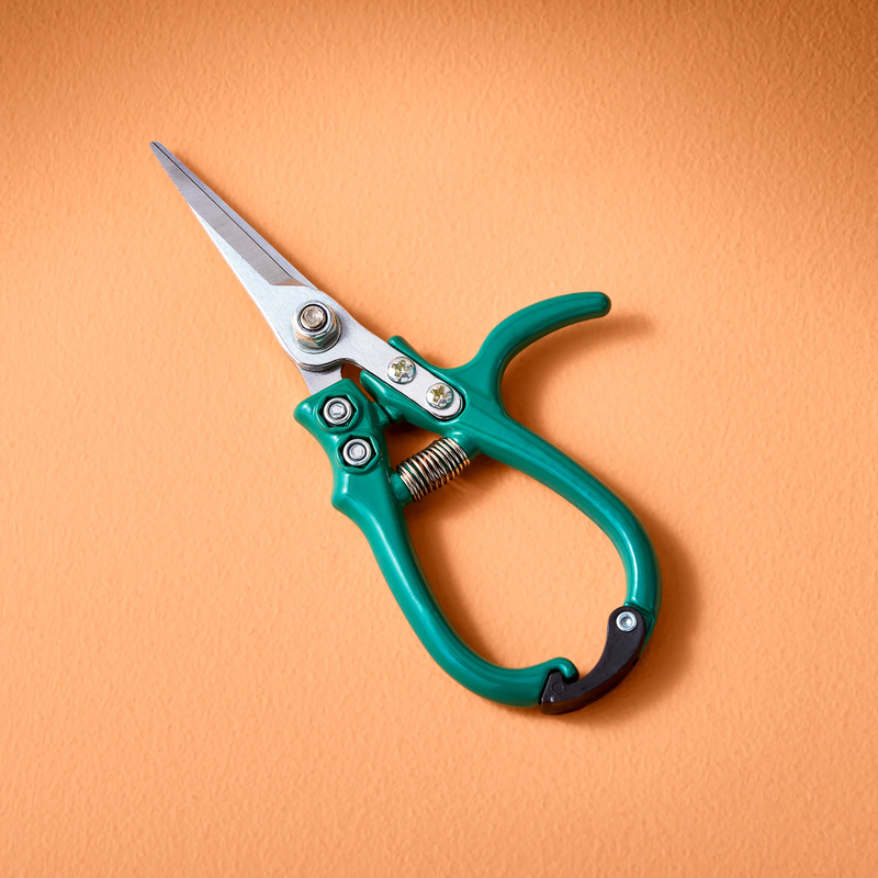 Garden Shears