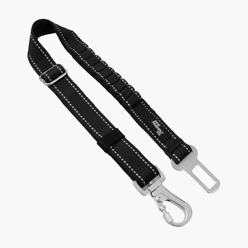 Dog Seat Belt