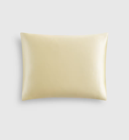 100% Mulberry Silk Pillowcase, King