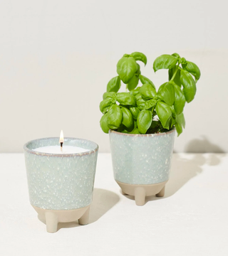 Herb Garden