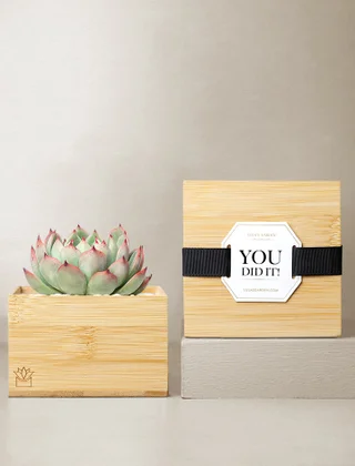 You Did It!