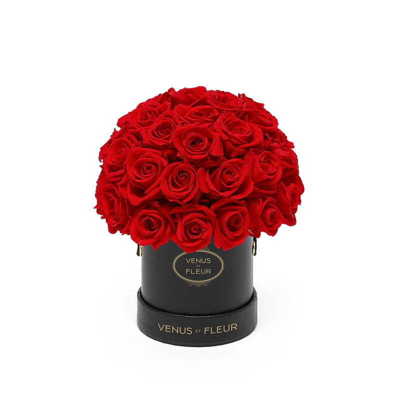 Mini Le Plein Eternity Roses | Red