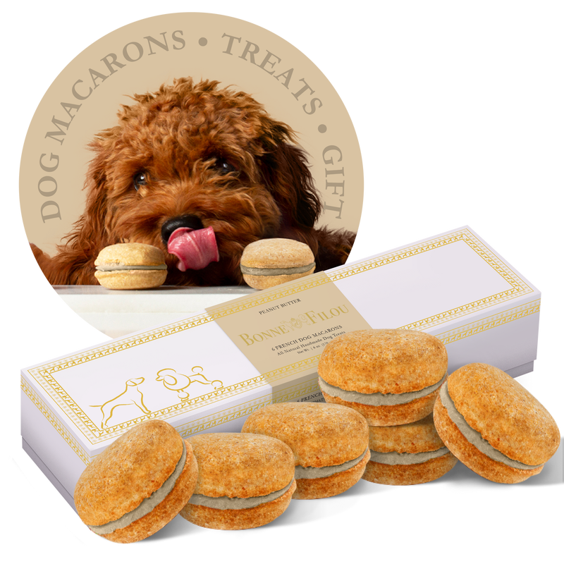 Box of 6 Dog Macarons