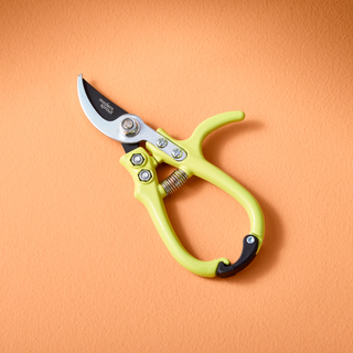 Chartreuse