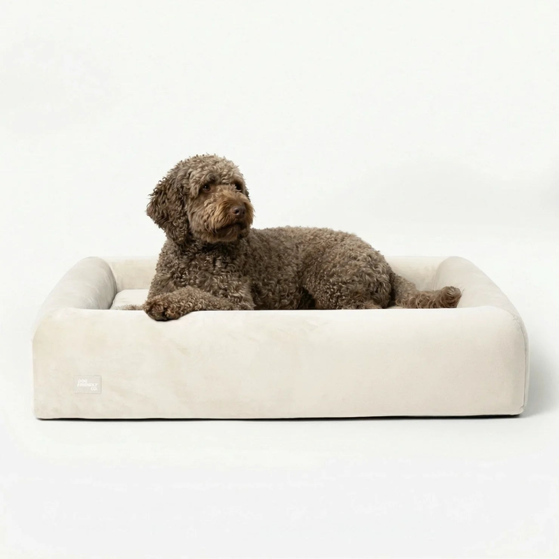 Small Orthopedic Memory Foam Dog Bed