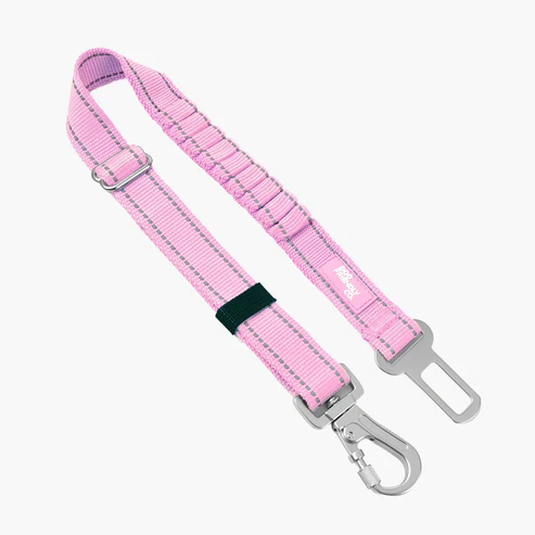 Dog Seat Belt