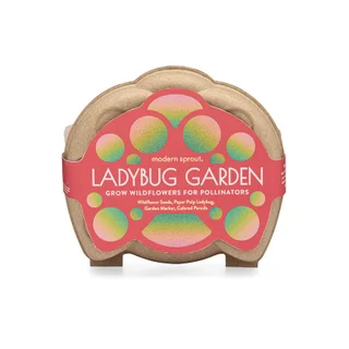 Ladybug