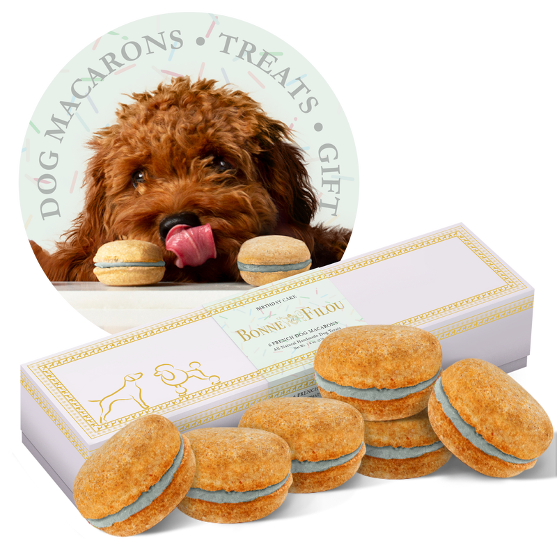 Box of 6 Dog Macarons