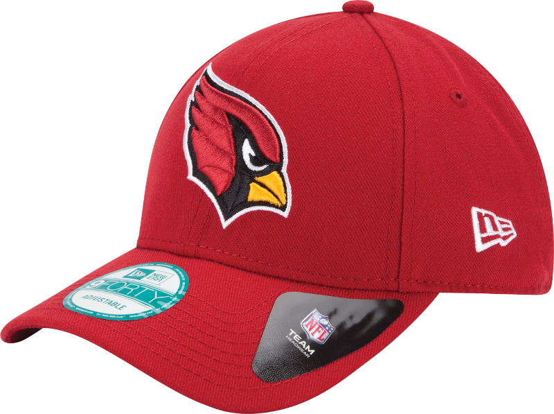 NFL Team Logo Hat