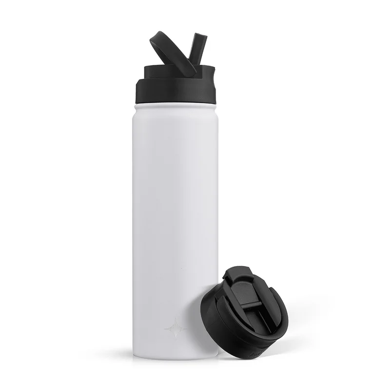 22oz Vacuum Insulated Water Bottle with Flip Lid & Sport Straw