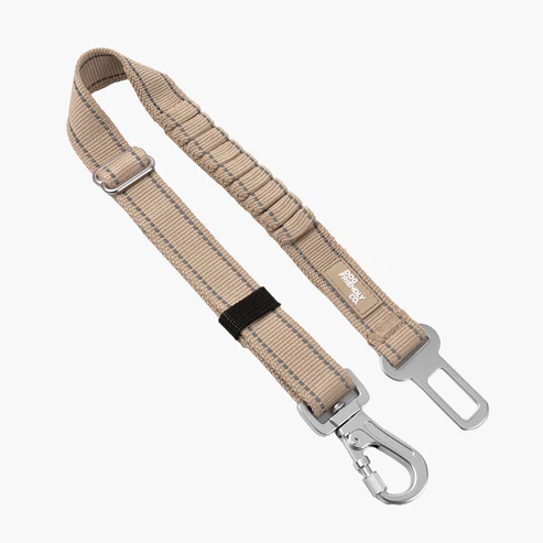 Dog Seat Belt