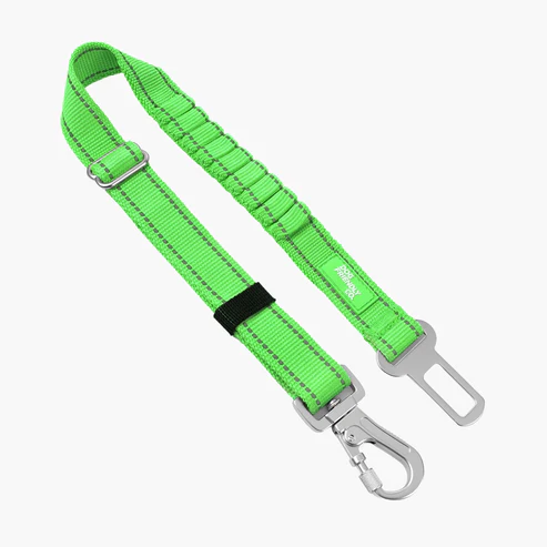 Dog Seat Belt