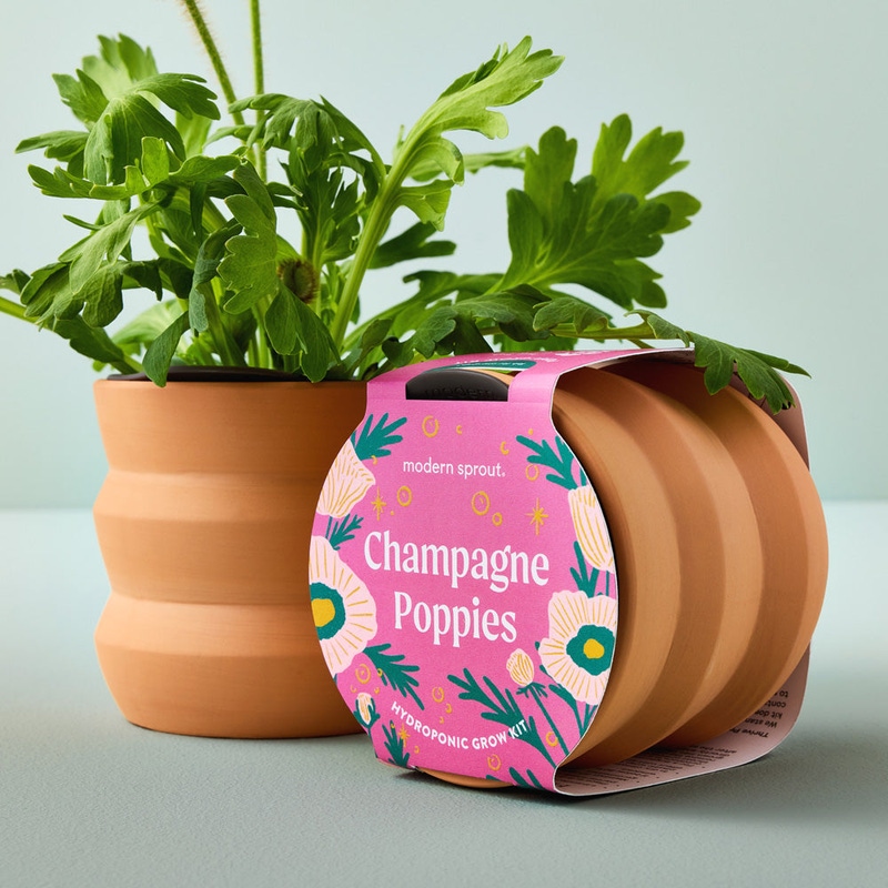 Tiny Terracotta Grow Kit