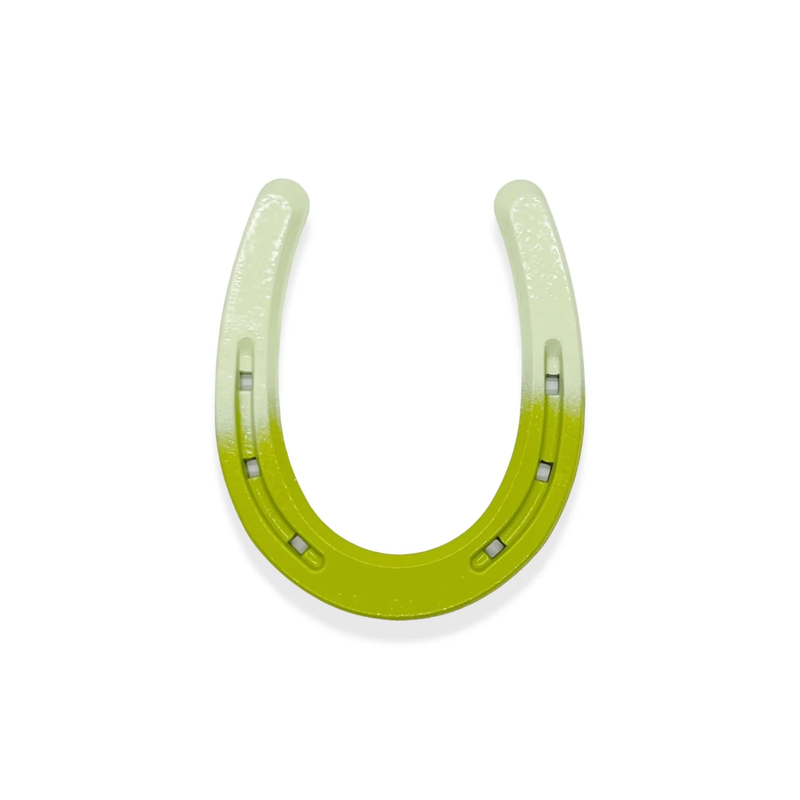 Colorful Painted Horseshoe
