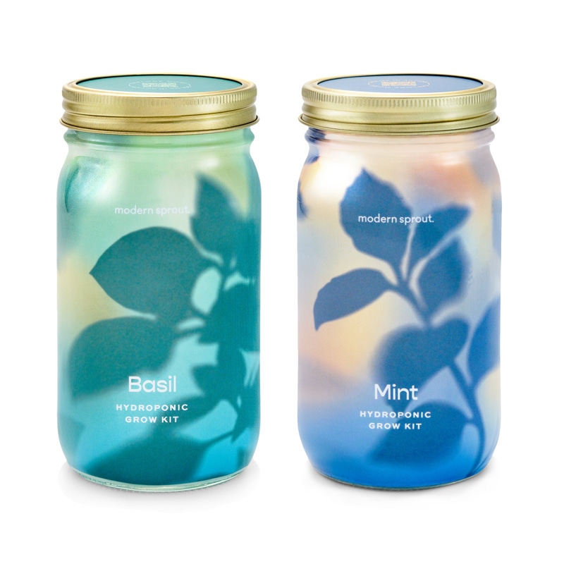 Herb Garden Jar 2-Pack