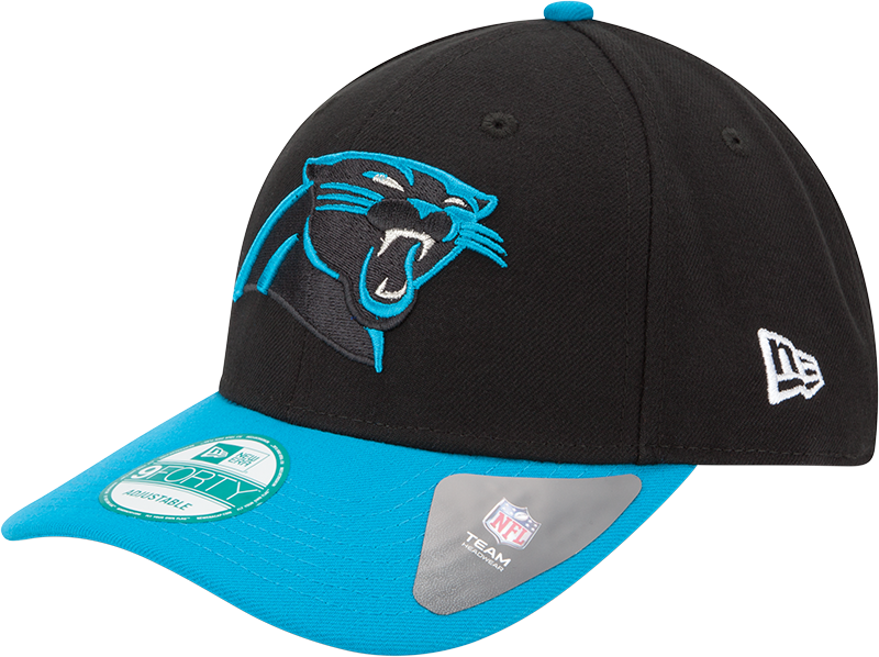 NFL Team Logo Hat