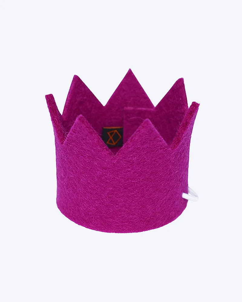 Party Beast Crown