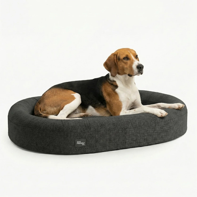 Small Chill Pill Memory Foam Dog Bed