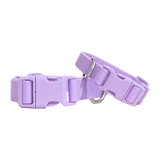 Extra Large Dog Collar