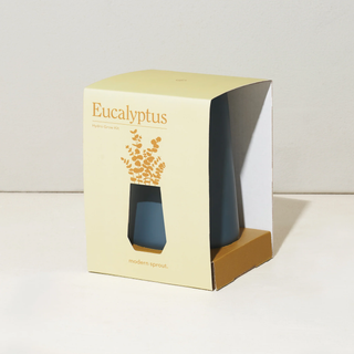 Eucalyptus