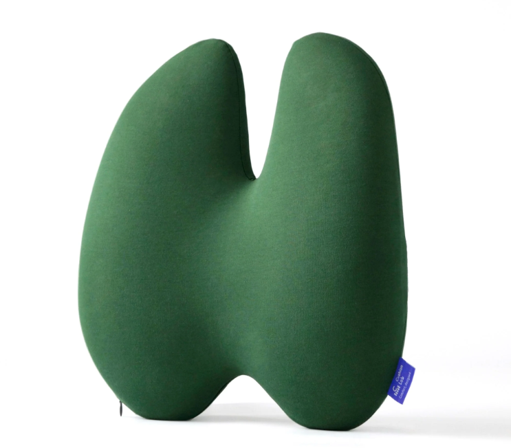 Back Relief Lumbar Pillow