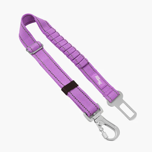 Dog Seat Belt