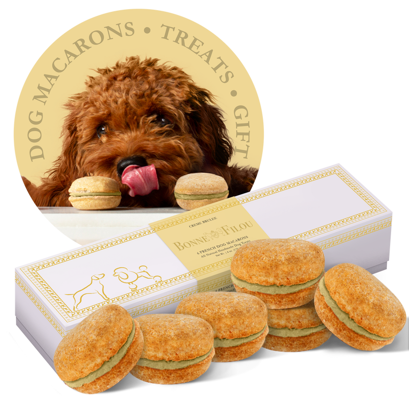 Box of 6 Dog Macarons