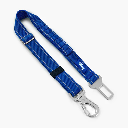 Dog Seat Belt