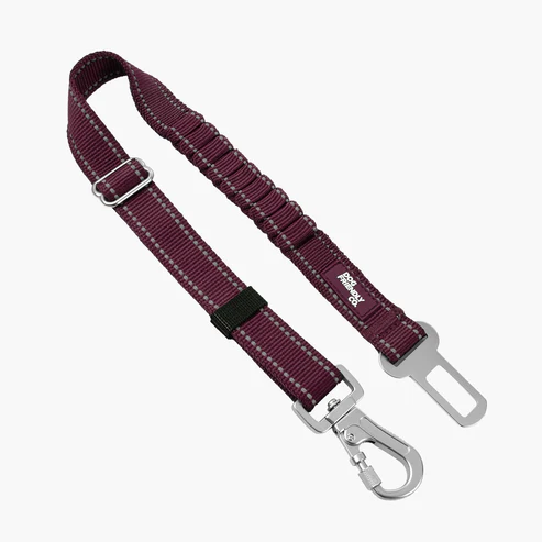 Dog Seat Belt