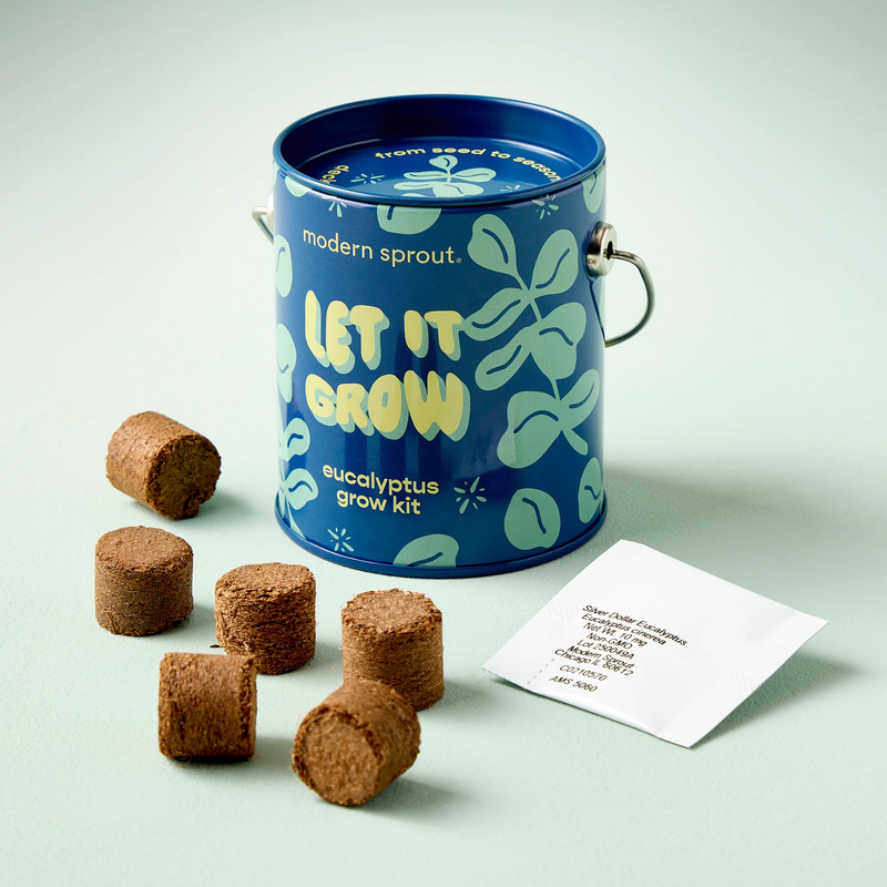 Holiday Complimentary Colors Grow Kit