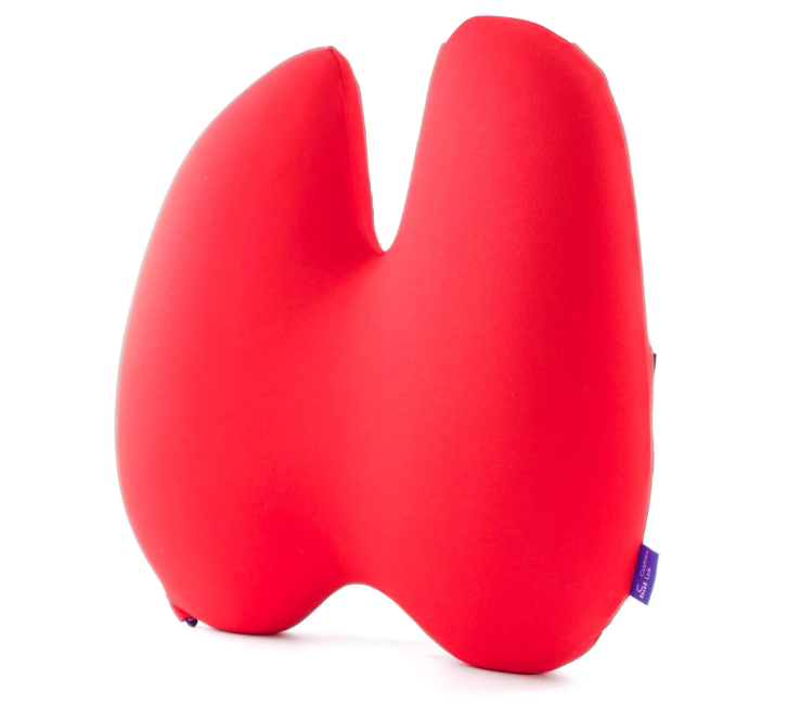 Back Relief Lumbar Pillow