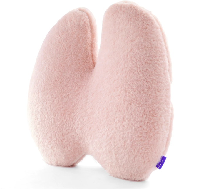 Back Relief Lumbar Pillow