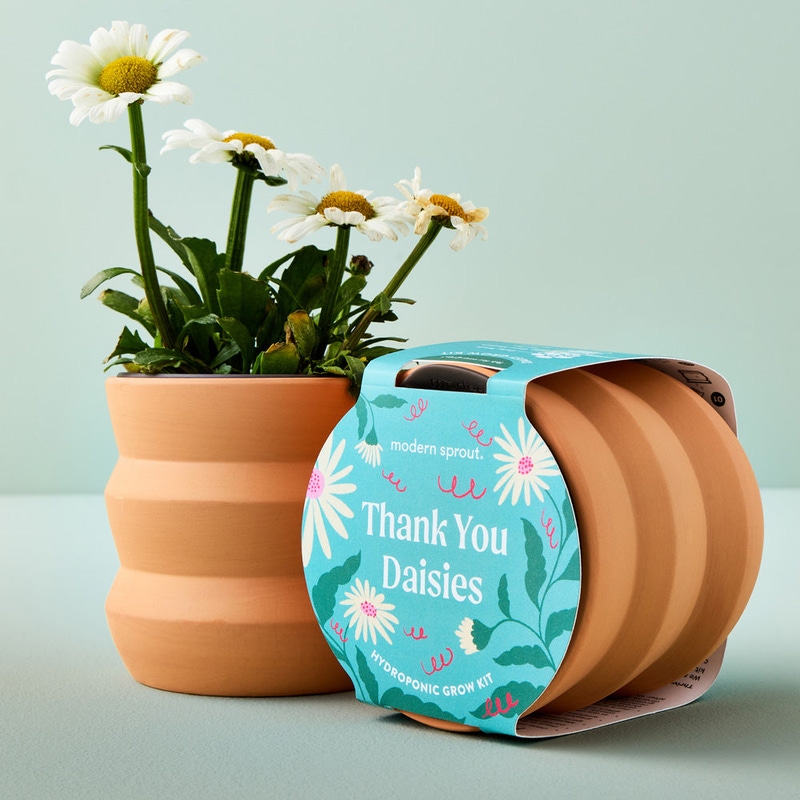 Tiny Terracotta Grow Kit