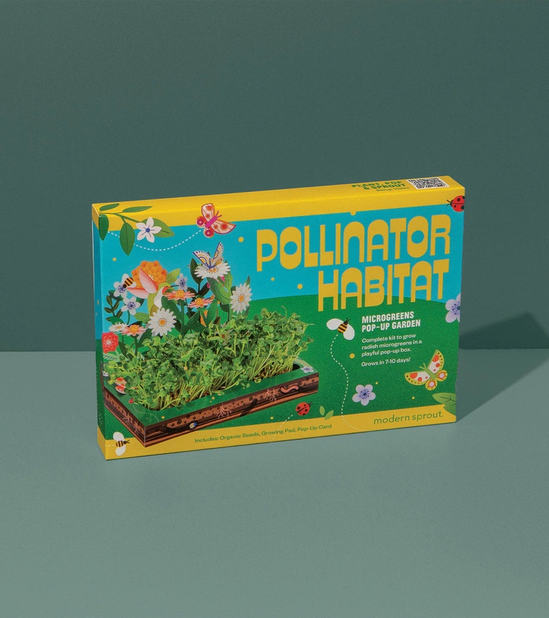 Pop Up Microgreens Kit