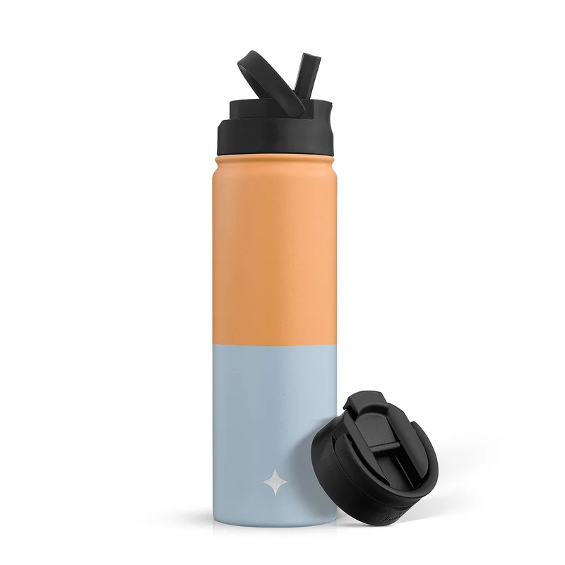 22oz Vacuum Insulated Water Bottle with Flip Lid & Sport Straw
