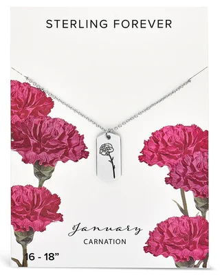 January / Carnation