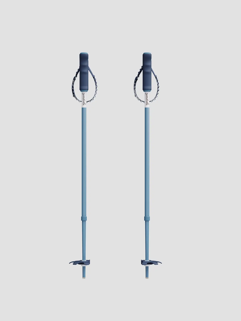 P1 Mini Poles