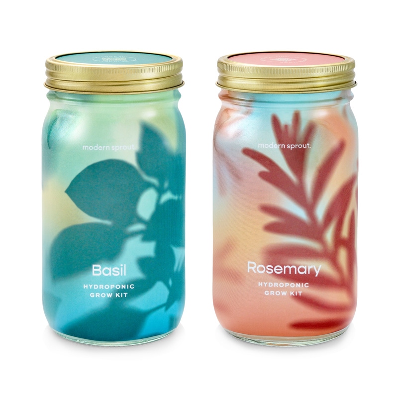 Herb Garden Jar 2-Pack