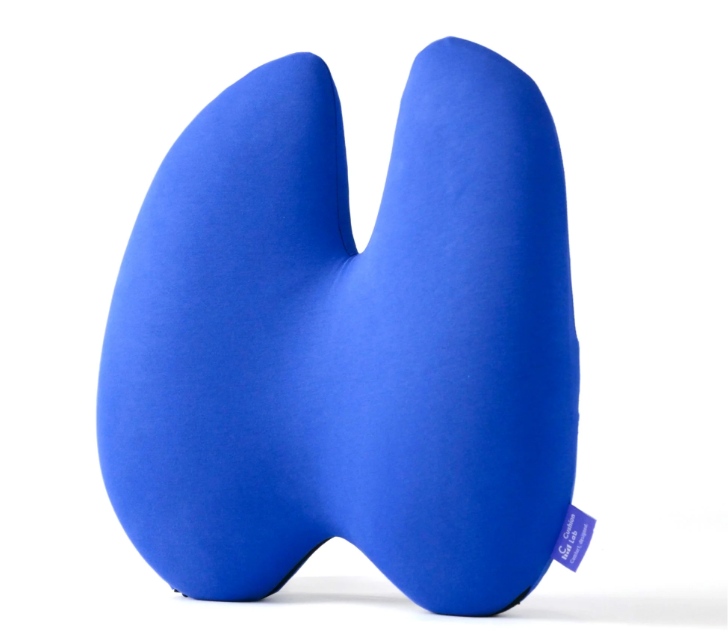 Back Relief Lumbar Pillow