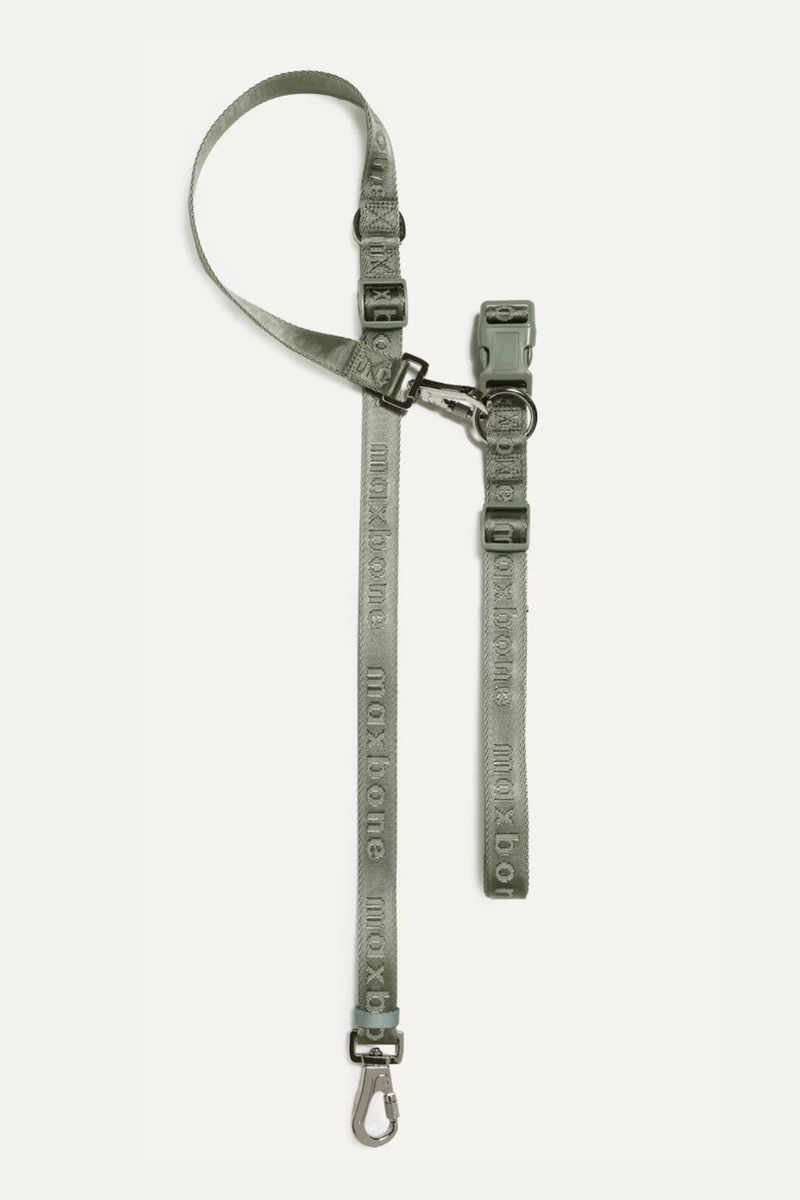 Go! With Ease Hands-Free Leash