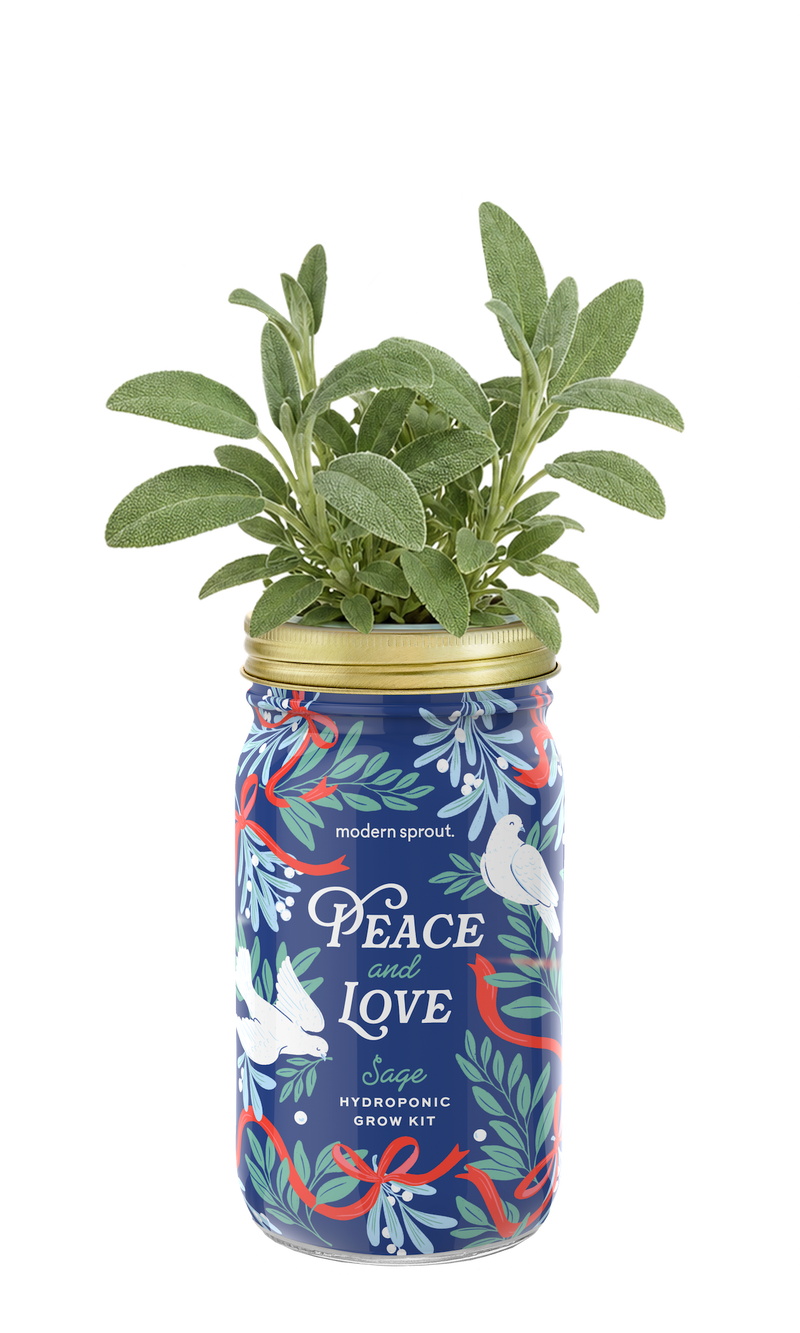 Holiday Herb Garden Jar