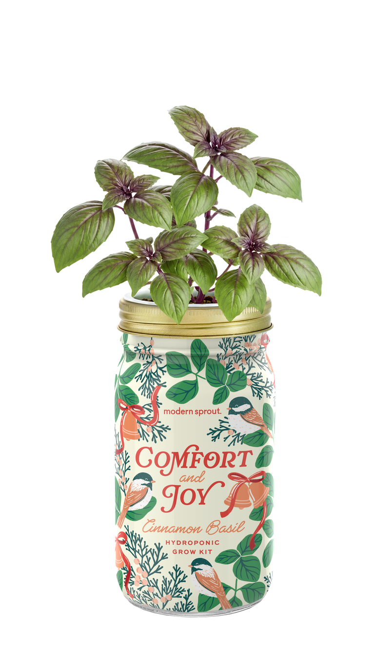 Holiday Herb Garden Jar