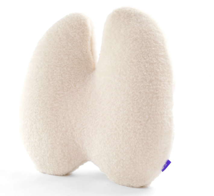 Back Relief Lumbar Pillow