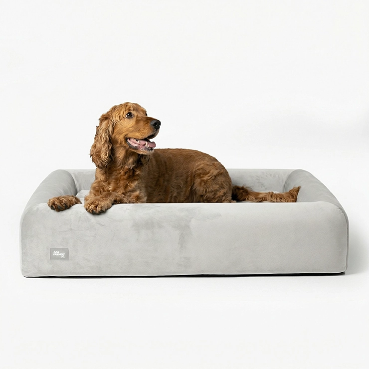 Medium Orthopedic Memory Foam Dog Bed