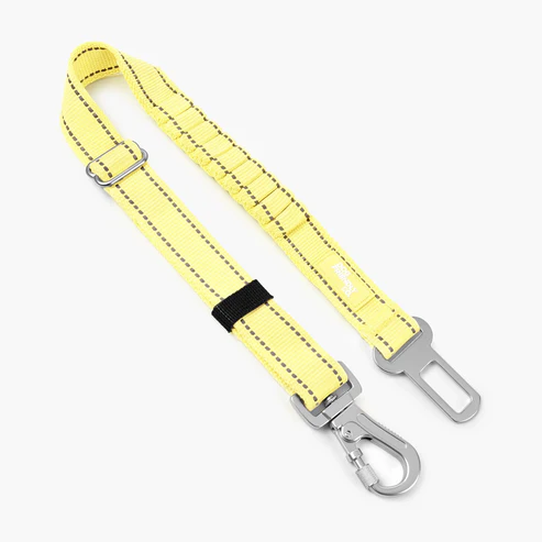 Dog Seat Belt