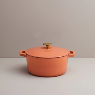 Fresh Terracotta